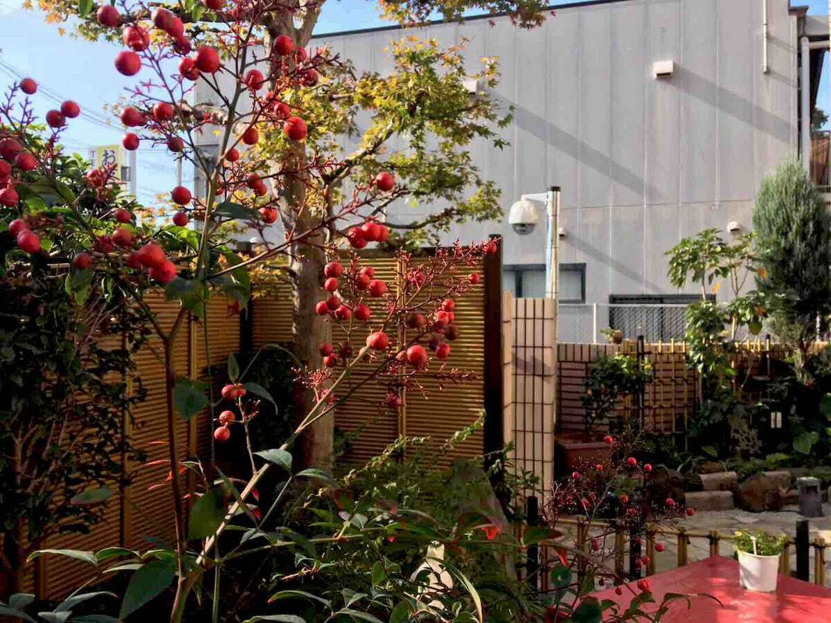 Garden 4