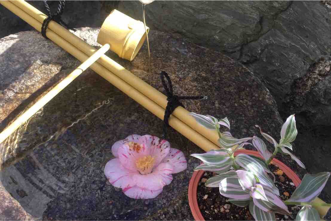 Garden 7